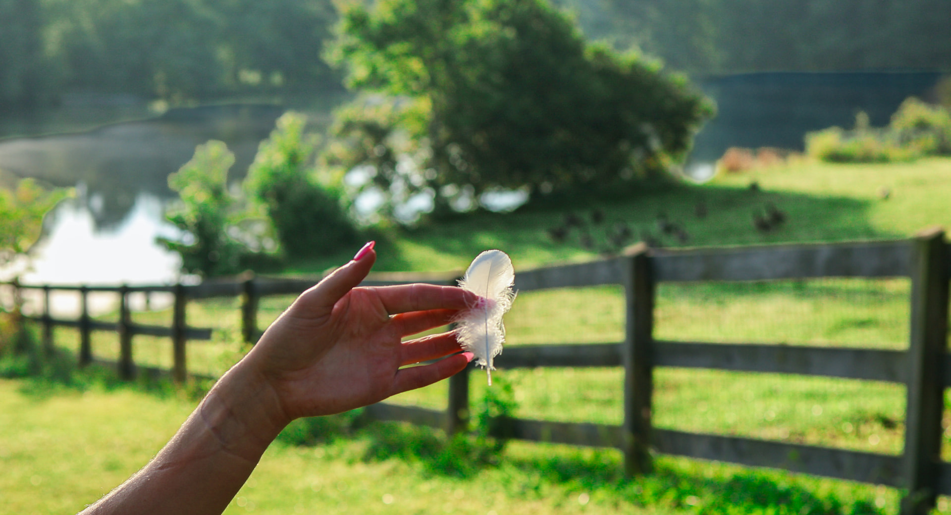 A hand holding a small white feather in front of a pasture and lake in Carrollton, Georgia