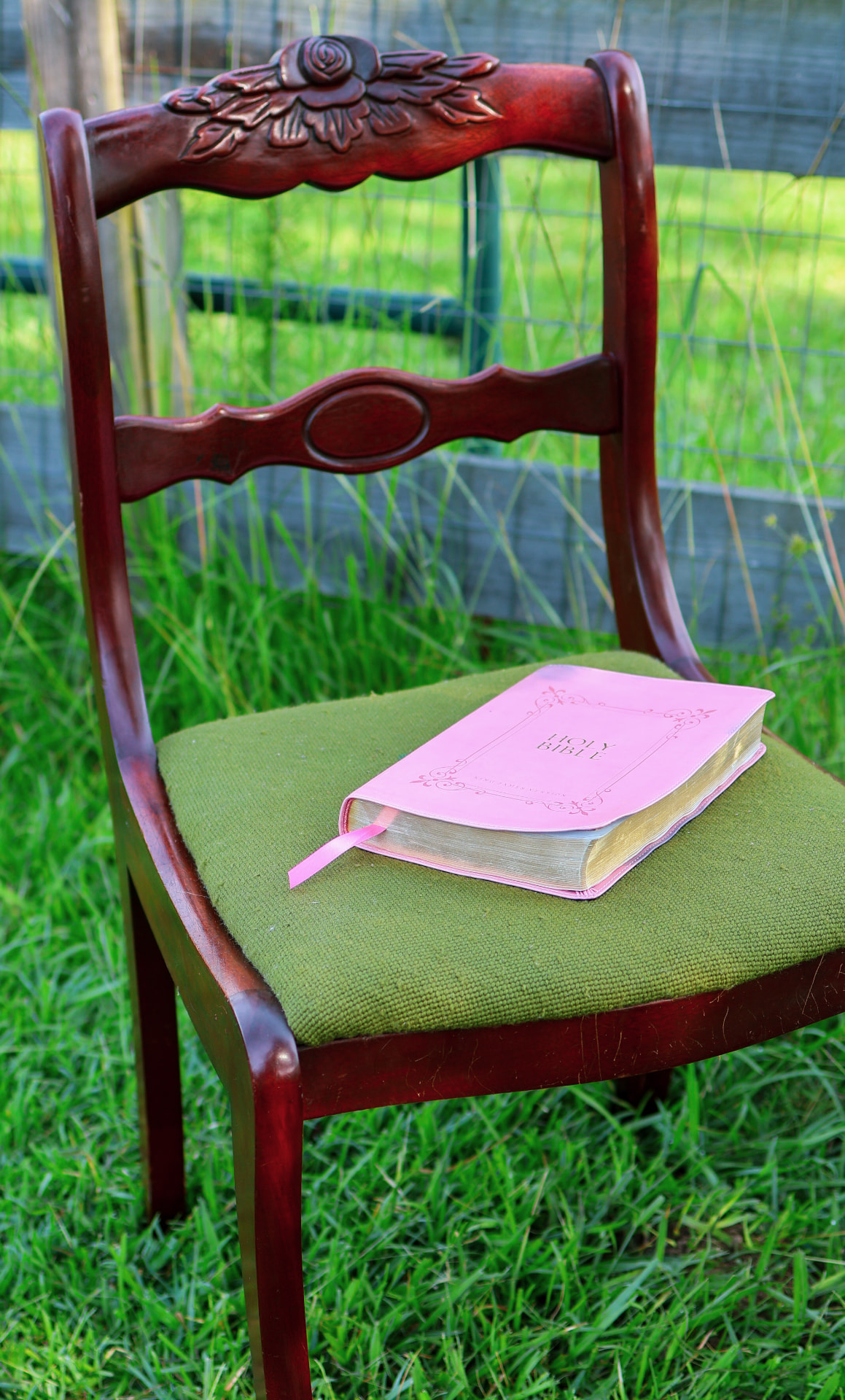 A pink Bible resting open on a wooden chair in a green Georgia field